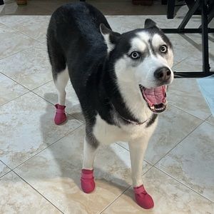 Meet your Posher, Evan